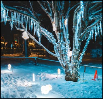 Blue light tree