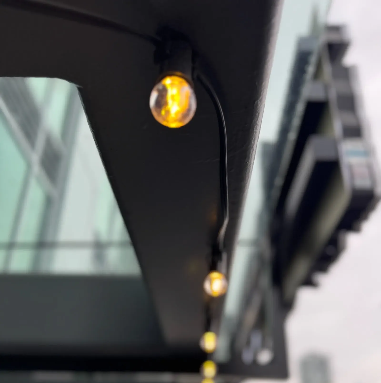 Commercial Bulb